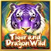 Tiger and Dragon Wild game thumbnail